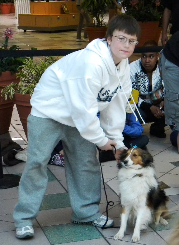 Josh Hampton of Millville, a member of the Pawshakers 4-H Club and this Sheltie “Madison” are preparing for the 4-H Dog Show and the AKC Show & Go set for Saturday, April 2, 9:00 AM – 3:00 PM at the Cumberland County Fairgrounds located at 3001 Carmel Road in Millville